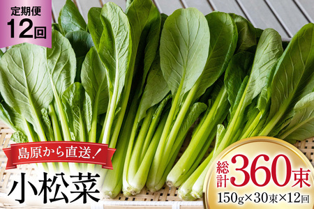 AI334  12  30 [  ܂ ₳ ① t c_ 茧 s ]
