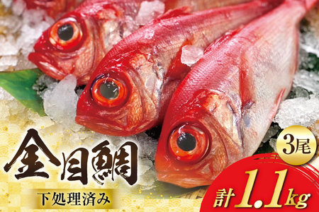 AJ436 ڑ TCY (300`400g) 3 v1.1kgx  ς  [茧 s]