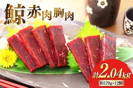 赤肉胸肉 170g×12個セット 計2.04kg [ くじら クジラ 鯨 鯨肉 湯引き 簡単調理 おつまみ 肴 珍味 小分け 日野商店 長崎県 島原市 ]