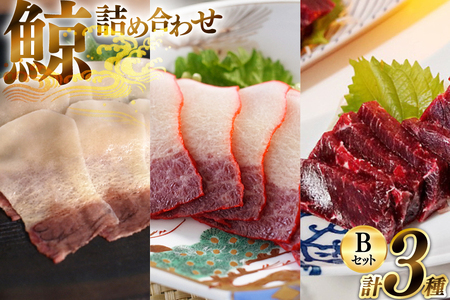 美味しい 鯨 3種詰め合わせBセット 計310g( 背肉 ベーコンスライス すえひろスライス ) [ くじら クジラ 鯨肉 湯引き 簡単調理 おつまみ 肴 珍味 日野商店 長崎県 島原市 ]