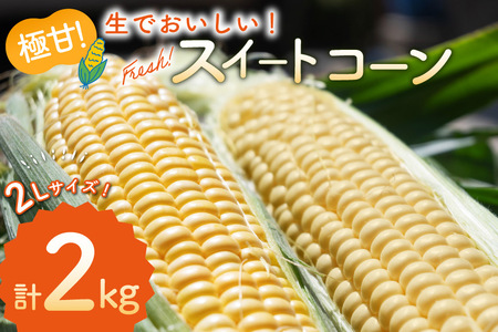 AJ454yߘa8Nxoוz Ƃ낱 XC[gR[ CG[ 2kg 5{ 2LTCY [ gERV R[ S[hbV  2L  SAKAI FARM 茧 s ]