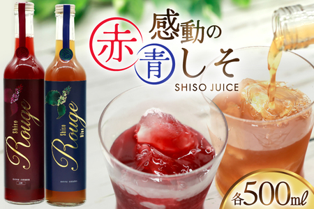 感動の赤しそジュース 瓶 500ml 感動の青しそジュース 瓶 500ml [ しそジュース 紫蘇ジュース 赤しそ 青しそ 長崎県 島原市 ]