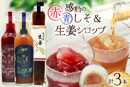 感動の赤しそジュース 瓶 200ml 感動の青しそジュース 瓶 200ml 生姜シロップ 瓶 250ml 飲み比べセット [ しそジュース 紫蘇ジュース 赤しそ 青しそ 長崎県 島原市 ]