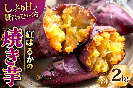 AJ311 ⓀĂQkg [₫ Ă ܂ g͂邩 VNXC[g VNXEB[g 茧 s ]