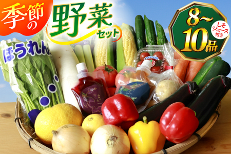 季節の野菜・果物セット 8〜10品 しそジュース付き [ 野菜 詰合せ 長崎県 島原市 ]
