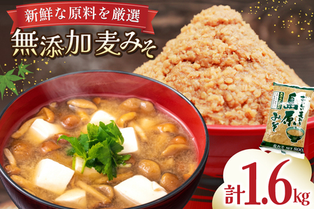 島原みそ 無添加(麦) 800g 2袋 [ みそ 味噌 ミソ 麦味噌 麦みそ 調味料お味噌 無添加 ナチュラル おいしい 島原みそ株式会社 長崎県 島原市]