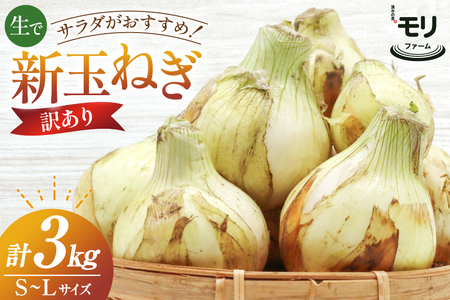 AJ113 y󂠂z N̗ t@[ Vʂ˂ 3kg s (S`LTCY) [ V܂˂ V ʂ˂ ܂˂ ^}lM ʂ˂ T_  ӂ낢 A X_ N̗ 