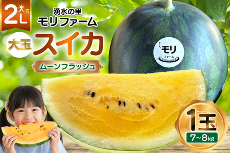 AJ457 yߘa8Nxoוz N̗ t@[ ʃXCJ [tbV 2L 7`8kg 1 [ s\ ʌ  XCJ Z t[c ʕ  茧 s ]