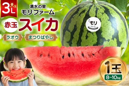 AJ455 yߘa8Nxoוz N̗ t@[ ԋ XCJ IE ܂΂₵ 3L 8`10kg 1 [ s\ ʌ  XCJ Z t[c ʕ  茧 s ]