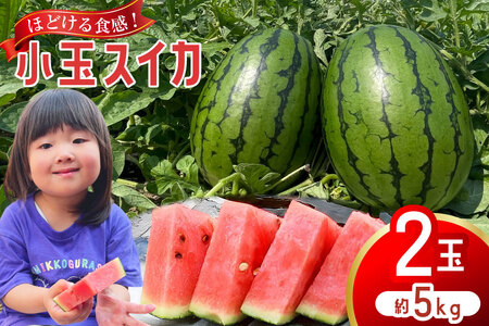 [令和8年度出荷分] Farm honda 小玉スイカ 2玉 計5kg [ 先行予約 数量限定 小玉 スイカ 西瓜 フルーツ 果物 長崎 長崎県 島原市 ]