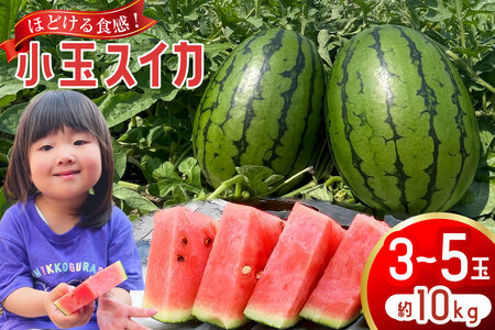 AJ462 �y�ߘa8�N�x�o�ו��z Farm honda ���ʃX�C�J 3�`5�� ��10kg [ ��s�\�� ���ʌ��� ���� �X�C�J ���Z �t���[�c �ʕ� ���� ���茧 �����s ]