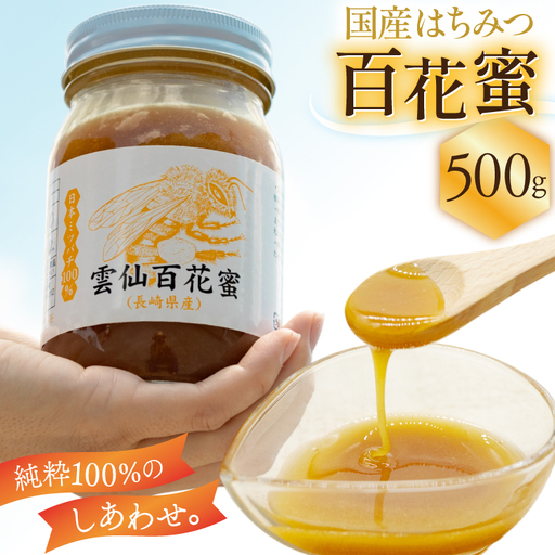 AJ445 はちみつ 国産 百花蜜 500g 1個 日本ミツバチ 純粋 100% [ 安中梅林を育てる会 蜂蜜 ハチミツ 非加熱 無添加 長崎県 島原市 ]
