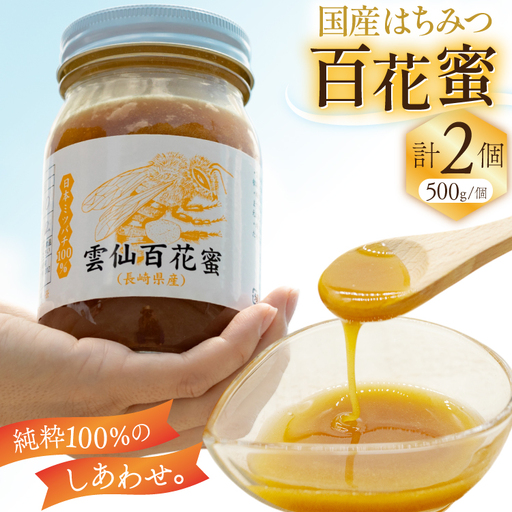 AJ446 はちみつ 国産 百花蜜 500g 2個 日本ミツバチ 純粋 100% [ 安中梅林を育てる会 蜂蜜 ハチミツ 非加熱 無添加 長崎県 島原市 ]