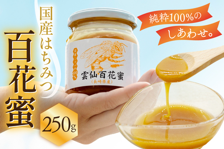 はちみつ 国産 百花蜜 250g 1個 日本ミツバチ 純粋 100% [ 安中梅林を育てる会 蜂蜜 ハチミツ 非加熱 無添加 長崎県 島原市 ]