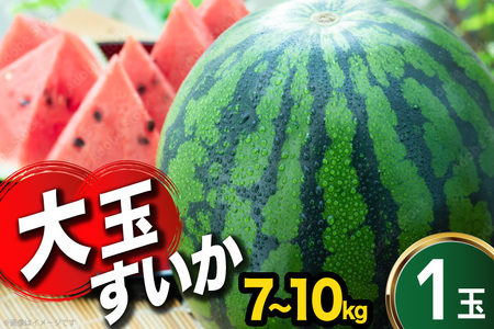 [令和8年度出荷分] まるき農園 大玉スイカ 2L〜3Lサイズ(7〜10kg)[ スイカ すいか 西瓜 大玉 大きい 2L 3L まるき農園 長崎県 島原市]