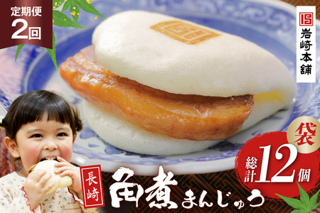 岩崎本舗 [2回定期便] 長崎角煮まんじゅう 6個入 (袋) [長崎県 島原市]