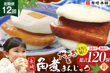 岩崎本舗 [12回定期便]長崎角煮まんじゅう 10個入(箱)[奇数月]・大とろ角煮まんじゅう 10個入(箱)[偶数月] [長崎県 島原市]