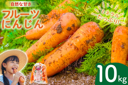 AJ464 【令和9年出荷分】 にんじん 宮崎さんのフルーツ人参 10kg