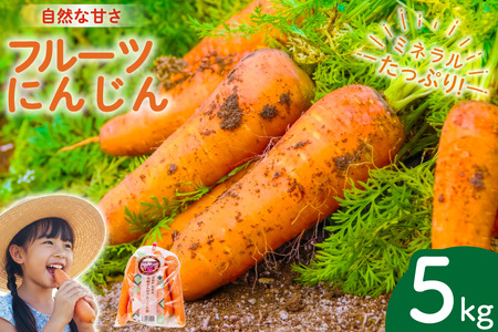 [令和9年出荷分] にんじん 宮崎さんのフルーツ人参 5kg