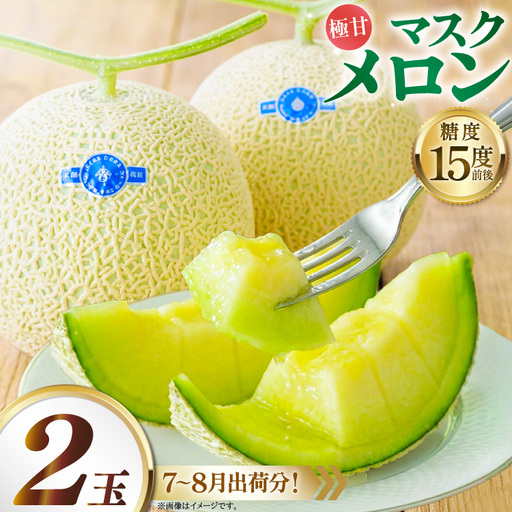 AJ651 【令和8年7-8月出荷分】 堀農園 マスクメロン 2玉
