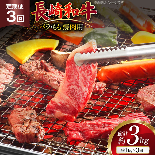 AJ571 【3回定期便】長崎和牛 焼肉セット 計約1kg バラ 霜降り(500g)・もも(500g)   [ まるしん商会 長崎県 島原市 ]
