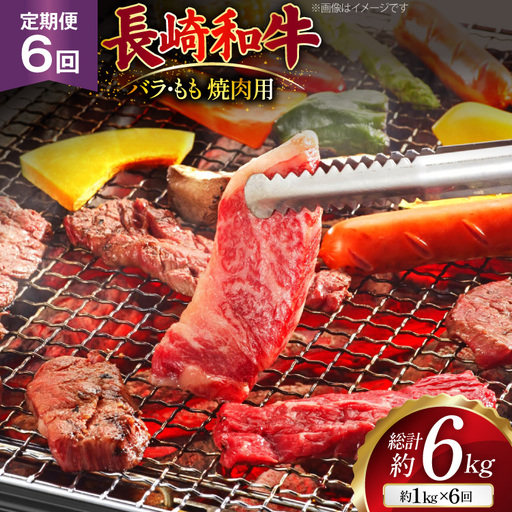 AJ572 【6回定期便】長崎和牛 焼肉セット 計約1kg バラ 霜降り(500g)・もも(500g)   [ まるしん商会 長崎県 島原市 ]