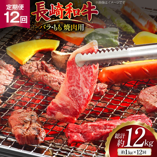 AJ573 【12回定期便】長崎和牛 焼肉セット 計約1kg バラ 霜降り(500g)・もも(500g)   [ まるしん商会 長崎県 島原市 ]