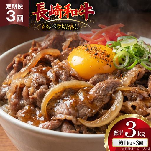 AJ577 【3回定期便】長崎和牛 切り落とし (もも・バラ) 約1kg (500g×2P)   [ まるしん商会 長崎県 島原市 ]