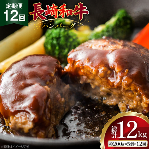 AJ588 【12回定期便】長崎和牛 ハンバーグ 約1kg (200g×5個)   [ まるしん商会 長崎県 島原市 ]
