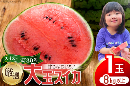 [令和8年出荷分] Farm honda 大玉スイカ 1玉 8kg以上