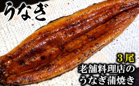 AE050老舗料理店のうなぎ蒲焼き(170g×3尾)