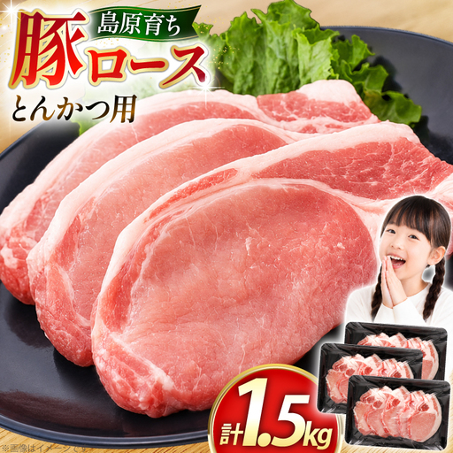 豚ロース とんかつ用 500g 3パック 計1.5kg