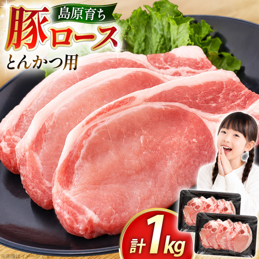 豚ロース とんかつ用 500g 2パック 計1kg