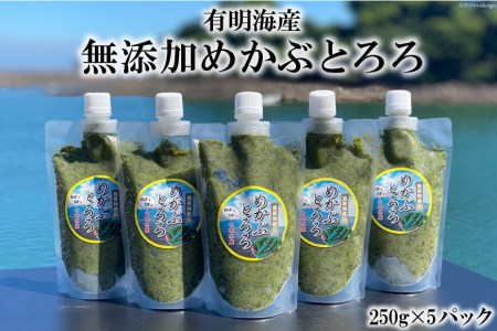 AE140 有明海産 無添加めかぶとろろ（250g×5パック）