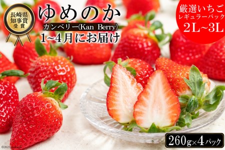 CE178 長崎県知事賞受賞【 厳選 いちご 】「 ゆめのか （2L～3L）」 260g × 4パック ＜1～4月にお届け＞ レビューキャンペーン