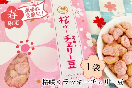CE267[春限定]頑張れ受験生!桜咲くラッキーチェリー豆(85g) 1袋