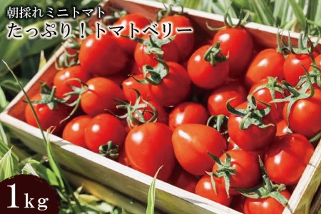 AF015 ̂~jg}g g}gx[ ՂI1kg [ 茧 s ]