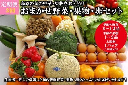 AF057【定期便】【年3回】島原の旬の野菜・果物！おまかせ野菜・果物・卵セット