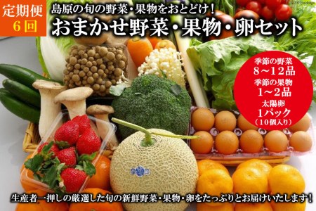 AF058【定期便】【年6回】島原の旬の野菜・果物！おまかせ野菜・果物・卵セット