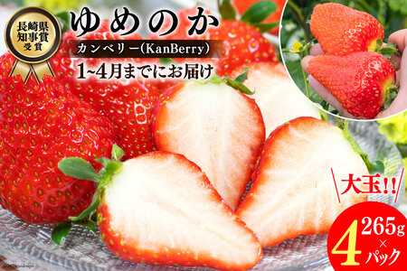[期間限定発送]EA050 長崎県知事賞受賞[ 大玉 いちご ]「 ゆめのか (3L〜5L)」265g×4パック [1〜4月にお届け] レビューキャンペーン