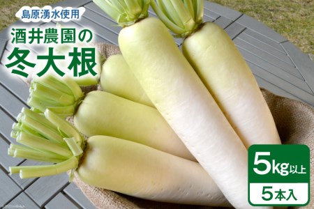 AG081 _̓~卪 5kgȏi5{j