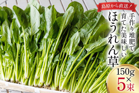 野菜類 ほうれん草の返礼品 検索結果 | ふるさと納税サイト「ふるなび」