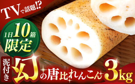 s\񁄌̓񂱂 3kg / 񂱂 R @ ₳  / |s / _g@lX}CECt [AHCA003]