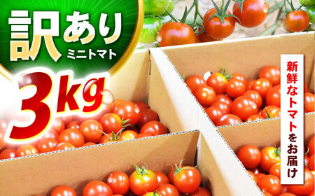 【訳あり】ミニトマト 3kg / 訳あり 訳アリ ミニトマト プチトマト トマト とまと 野菜 やさい / 諫早市 / 原農園 [AHCZ001]
