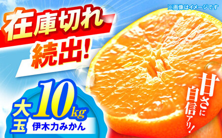 先行予約 伊木力みかん(大玉)10kg / みかん ミカン 蜜柑 フルーツ 果物 / 諫早市 / 山野果樹園 [AHCF005]