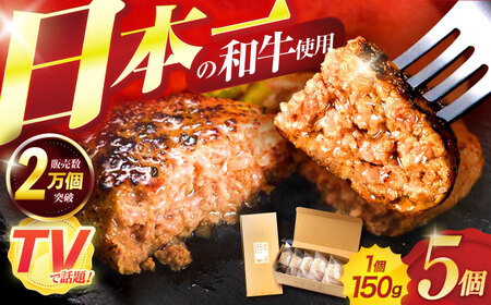 ながさきふわとろハンバーグ　150g×5個入 / ハンバーグ はんばーぐ　肉 牛肉 豚肉 おかず　惣菜 / 諫早市 / ワールド・ミート有限会社 [AHBG005]