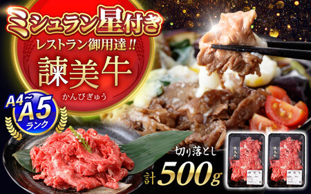 [特Aのブランド米で育てた]諫美牛 切り落とし 500g(250g×2) / 牛肉 ぎゅうにく 和牛 牛 肉 国産 切り落とし 切り落し 切りおとし / 諫早市 / 株式会社土井農場[AHAD090]