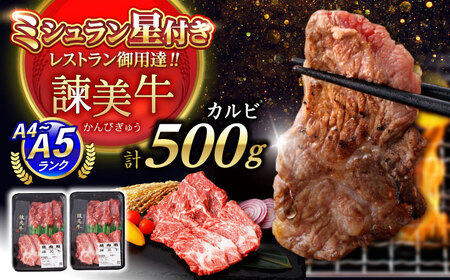 [特Aのブランド米で育てた]諫美牛 カルビ 500g(250g×2) / 牛肉 ぎゅうにく 和牛 牛 肉 国産 かるび 焼肉 やきにく / 諫早市 / 株式会社土井農場[AHAD091]