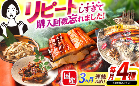【3回定期便】【諫早淡水】うなぎまるごとセット / うなぎ 蒲焼 白焼き たれ 肝 / 諫早市 / 諫早淡水[AHAT015]