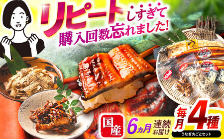 【6回定期便】【諫早淡水】うなぎまるごとセット / うなぎ 蒲焼 白焼き たれ 肝 / 諫早市 / 諫早淡水[AHAT016]